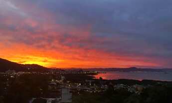 Imagem 4: Alugo Ap Itacorubi, 1 quarto