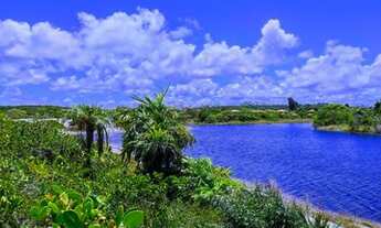 Imagem 6: Terreno 500 mts2 - Reserva Sauipe