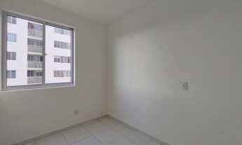 Imagem 6: Jardim de Manoela