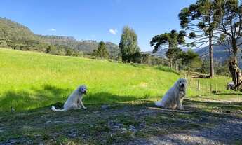 Imagem 4: Terreno - Urubici