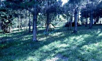 Imagem 4: Sítio para Venda em Mogi das Cruzes, Biritiba Ussu, 6 dormitórios, 4 suítes, 7 banheiros