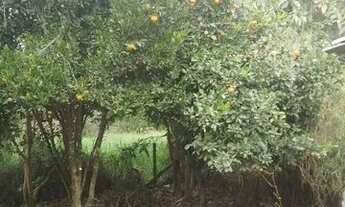 Imagem 5: Imóvel Casa com 2 dormitórios