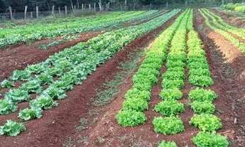 Imagem 3: Vendo sítio Chácara com venda por R$900