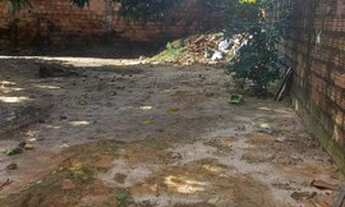 Imagem 7: Casa Jardim tropical