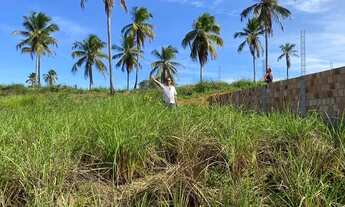 Imagem: Terreno em São Bento, Maragogi
