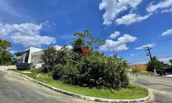 Imagem 2: Lote de Esquina no Passaredo 338m²