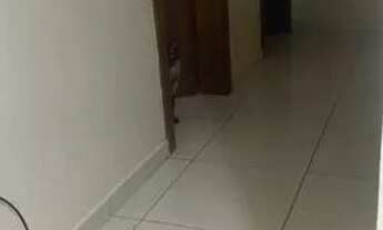 Imagem: Procuro moça para dividir apartamento