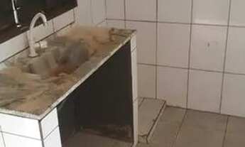 Imagem 7: Casa para aluguel (particular