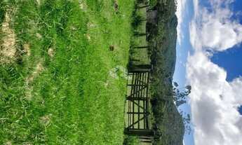 Imagem 5: Sitio com 5.280 m² à venda, Bairro Ratones, Florianópolis SC