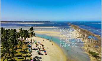 Imagem: Imóvel para venda possui 41 metros quadrados