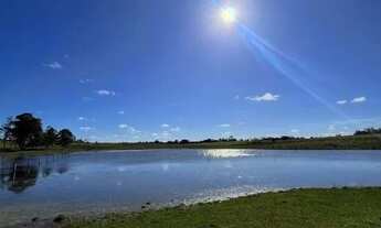 Imagem 4: Excelente Sítio de 3,5ha na Estância Grande