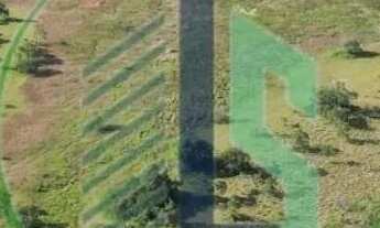 Imagem 7: Vendo Fazenda 410 hectares