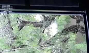 Imagem 2: Apartamento à Venda Excelente Localização! PRÓXIMO A UFSCAR