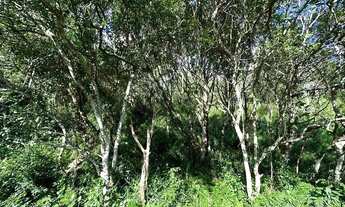 Imagem: Terreno de 1.494m² no João Paulo