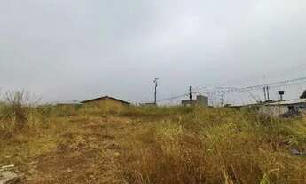 Imagem 2: ÁREA COMERCIAL JAMIL MIGUEL