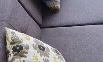 Imagem 6: Ótimo apartamento edifício metropolitan torre Sidney para locação no setor Jardim Goiás, e