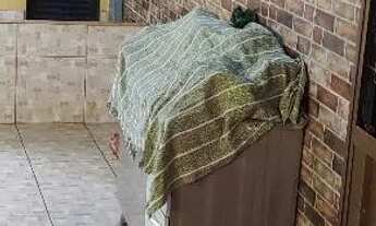 Imagem 6: Linda Casa em Cidade Ocidental!