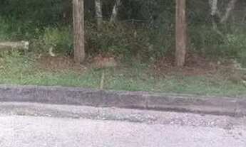 Imagem 6: Terreno de 1.494m² no João Paulo