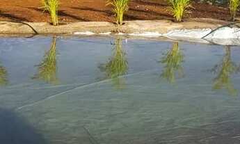 Imagem 7: Oportunidade sítio maravilhoso