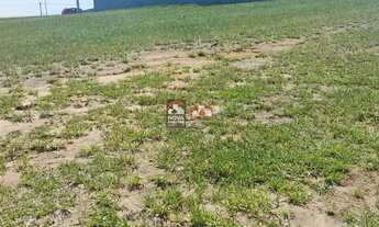 Imagem 5: Terreno à venda 250m² - Fazenda Ronda