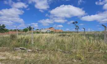 Imagem 6: SB- A partir de R$ 20.000,00 ! Lotes padrão 8x20, 160 m2 em Marechal Deodoro-AL