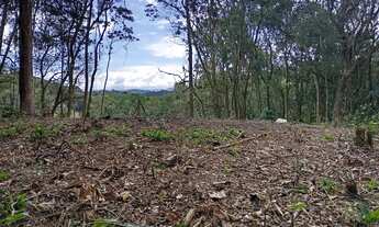 Imagem 5: Terreno para sítio e ou Clube