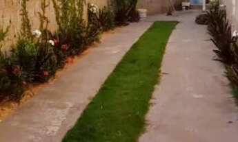 Imagem 3: Aluga casa em Tamandaré,