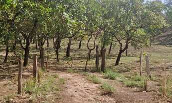 Imagem: Chácara 6 hectares