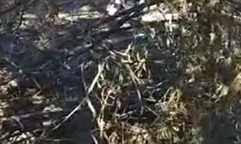 Imagem 7: Lote escriturado - Rio Marinho, Vila Velha - Apto para financiamento