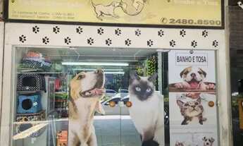 Imagem 2: Pet Shop Completo (Passo o ponto), Loja na Barra da Tijuca, 70m²