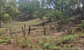 Imagem 3: Chácara 6 hectares