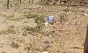 Imagem 4: Vendo ou troco em carro do meu interesse lote na samambaia norte abaixo da quadra 623