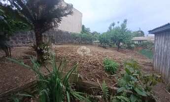 Imagem 7: Terreno à venda no bairro santa catarina