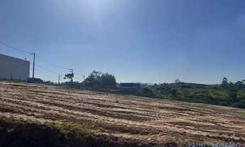 Imagem 2: AREA - DO TABOÃO - SP