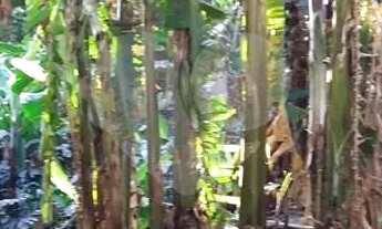 Imagem 5: Terreno à venda em Penha De França - SP