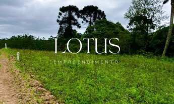 Imagem: SUA CHANCE DE TER UM TERRENO EM COTIA!