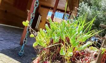 Imagem 3: CAUE IMOVEIS VENDE Sitio Belíssimo de 1000m2 em Águas Claras!