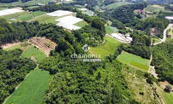 Imagem 6: Chácara com Vista para o Vale (5 hectares