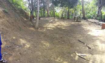 Imagem 5: Vendo Fazenda de cacau