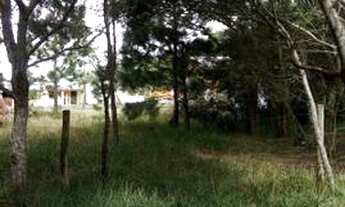 Imagem 2: Terreno na Lagoa do Bacupari