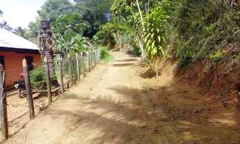 Imagem 4: Vendo Fazenda de cacau