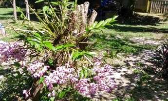 Imagem 7: Excelente Sítio no Recanto Boa Vista, Praia de Mauá - Magé/RJ