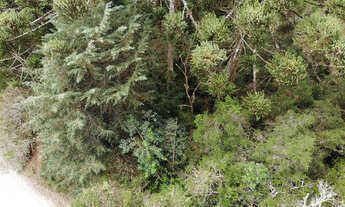 Imagem 3: Terreno à Venda no Capivari - Campos do Jordão/SP