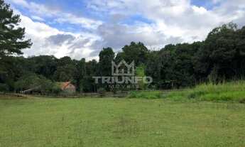 Imagem 2: Sítio em Canastra !!