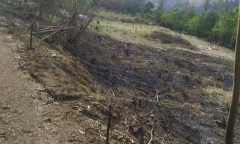 Imagem 3: Terreno em igrejinha 8mil m²