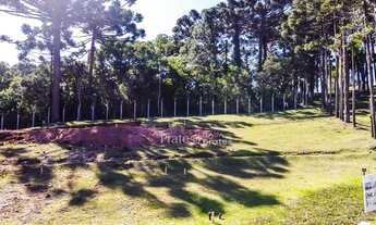 Imagem 5: CURITIBA - Terreno Padrão - Campo Comprido