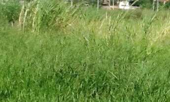 Imagem 5: ITATIAIA - Terreno Padrão - Loteamento Portal do Parque