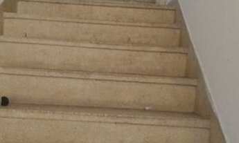 Imagem 6: Galpão para Locação em São Paulo, Parque Peruche