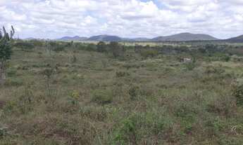 Imagem 6: Excelente fazendinha de , aproximadas, 30 tarefas, no capim, a margem de rio