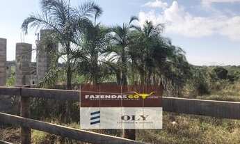 Imagem 2: Chácara Premium ! Condomínio em Trindade ! 5 mil metros !